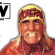 Hulk Hogan AEW Article Pic 6 WrestleFeed App