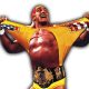 Hulk Hogan Article Pic 18 WrestleFeed App