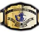 Intercontinental Championship WWF IC Title belt Article Pic 2 WrestleFeed App