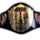 ROH World Heavyweight Championship Title Belt Article Pic 1 WrestleFeed App