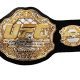 UFC Ultimate Fighting Championship Title Belt Article Pic 3 WrestleFeed App