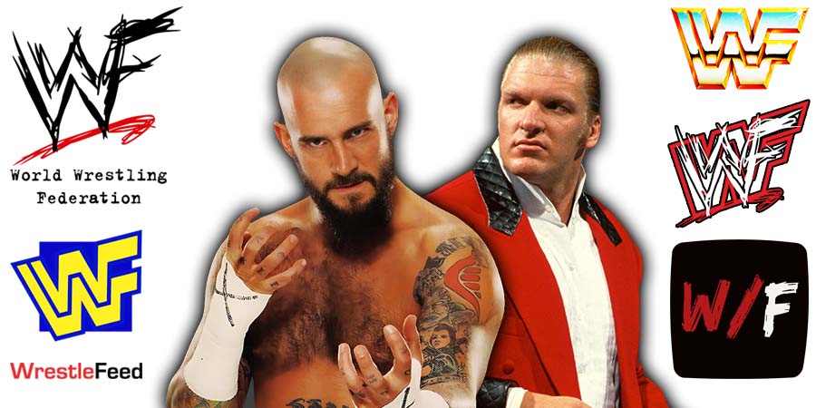 CM Punk And HHH Triple H WWE Article 1 WrestleFeed App