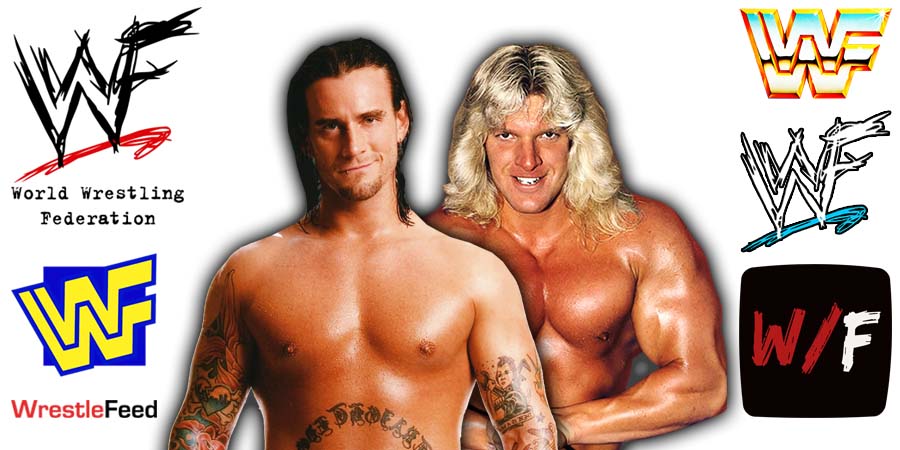 CM Punk And HHH Triple H WWE Article Pic 6 WrestleFeed App