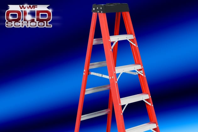 Ladder match