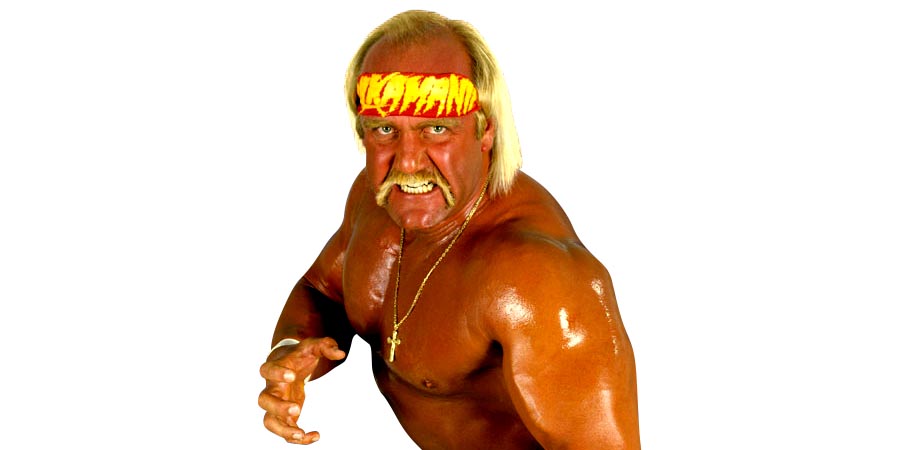 hulk hogan target