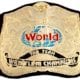 WWF Tag Team Championship - Tag Team - Title - Titles - WWE Article Pic