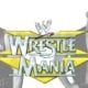 WrestleMania 15 - Stone Cold Steve Austin vs. The Rock for the WWF Championship