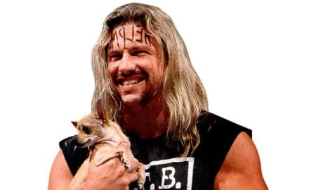 Al Snow