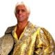 Ric Flair - World Heavyweight Champion