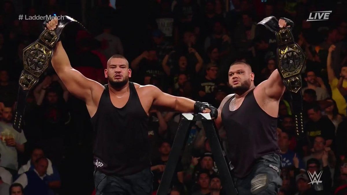 The Authors of Pain retain the NXT Tag Team Titles in the main event at NXT TakeOver: Chicago in a Ladder match