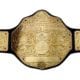 World Heavyweight Championship Belt WCW WWE Title Belt Champion