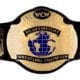 WCW World Championship Heavyweight Belt Title Champion