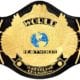 WWF WWE World Heavyweight Championship Title Belt Champion Winged Eagle
