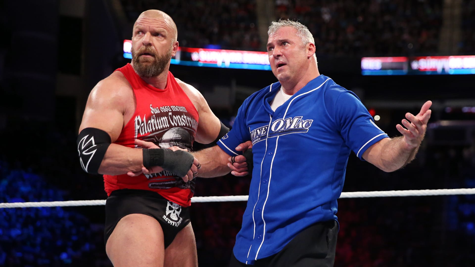 Triple H vs. Shane McMahon - Survivor Series 2017