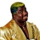 Koko B Ware Birdman