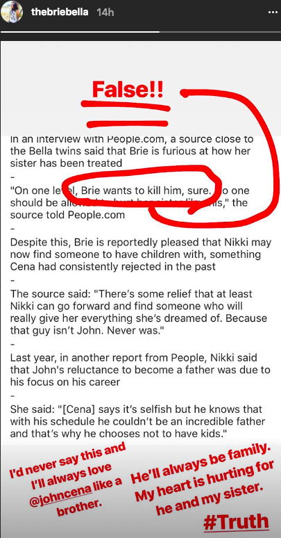 Brie Bella Comments On John Cena & Nikki Bella's Breakup