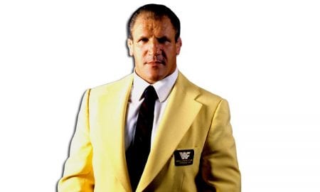 Bruno Sammartino Article