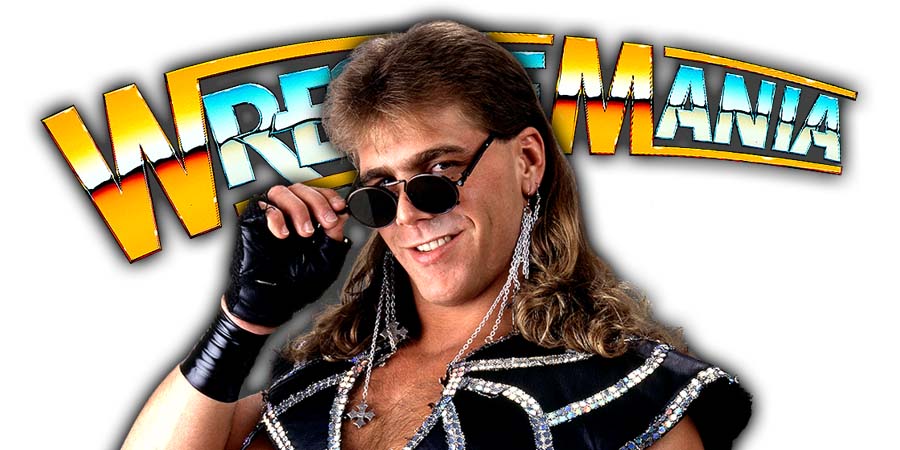 Shawn Michaels WrestleMania 35
