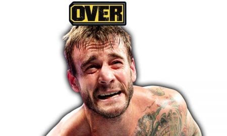 CM Punk UFC Career Over After UFC 225 Loss