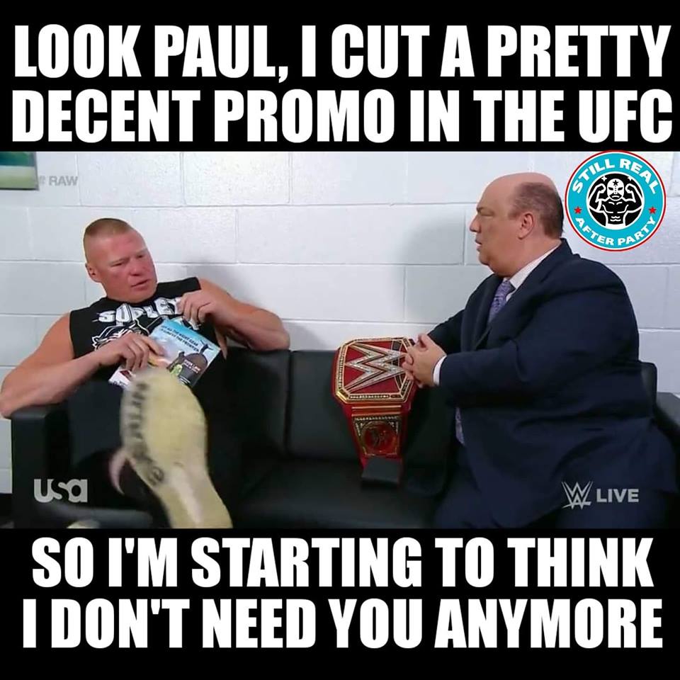 Brock Lesnar Reading A Book Meme 6