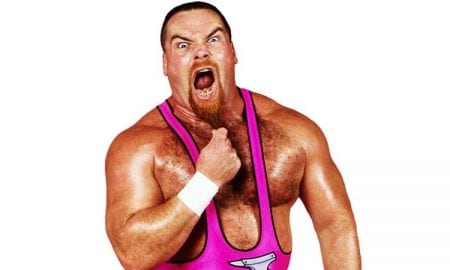 Jim Neidhart WWF