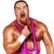 Jim Neidhart WWF