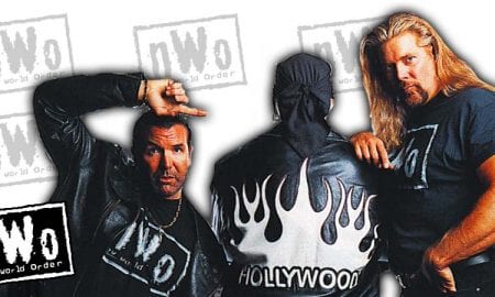 nWo New World Order Hulk Hogan Scott Hall Kevin Nash