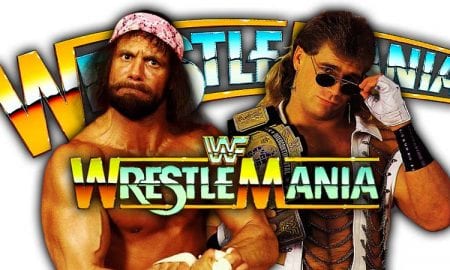 Randy Savage vs. Shawn Michaels - WWF WrestleMania