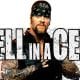The Undertaker Hell In A Cell