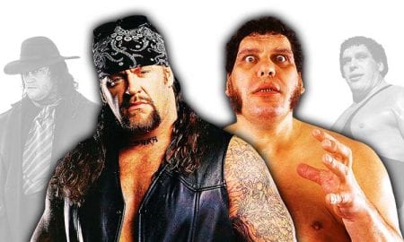 The Undertaker Andre The Giant WWF