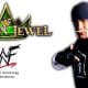 Hulk Hogan nWo WWE Crown Jewel