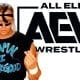 Billy Gunn AEW Article Pic 1 All Elite Wrestling