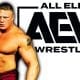 Brock Lesnar AEW All Elite Wrestling Article Pic 1
