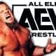 Chris Jericho All Elite Wrestling AEW Superstar