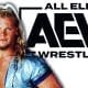 Chris Jericho All Elite Wrestling Superstar