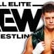 Cody Rhodes AEW All Elite Wrestling