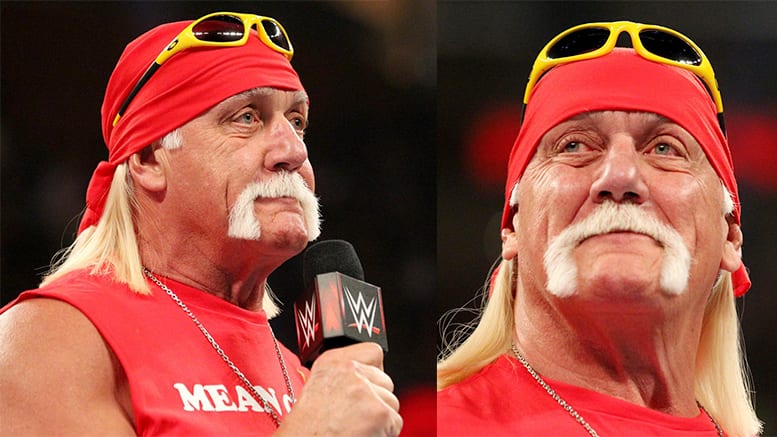 Hulk Hogan Sex Tape koko video