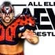 Road Warrior Animal AEW All Elite Wrestling