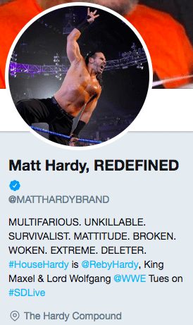 Matt Hardy Multifarious