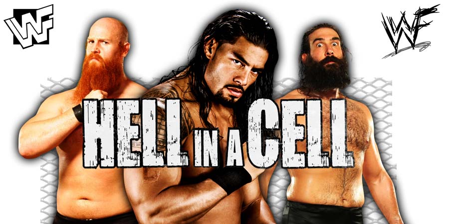 Roman Reigns and Daniel Bryan defeat Luke Harper & Erick Rowan at Hell In A Cell 2019