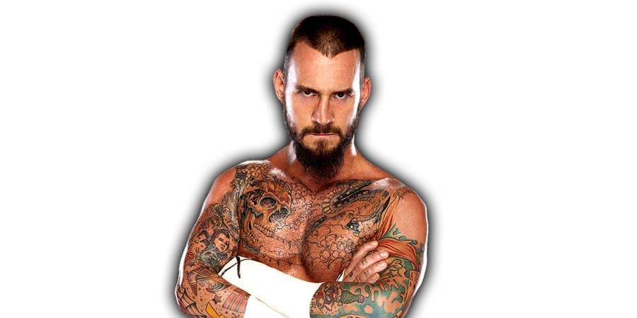CM Punk Tattoos WWE