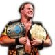 Chris Jericho WWF Undisputed Champion 2 Belts