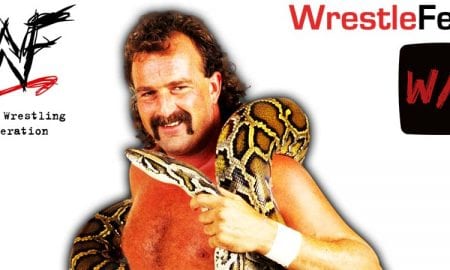 Jake The Snake Roberts Article Pic 1 WrestleFeed App