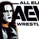 Sting AEW All Elite Wrestling Article Pic 2