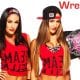 Bella Twins Nikki Bella Brie Bella Article Pic 1 WrestleFeed App