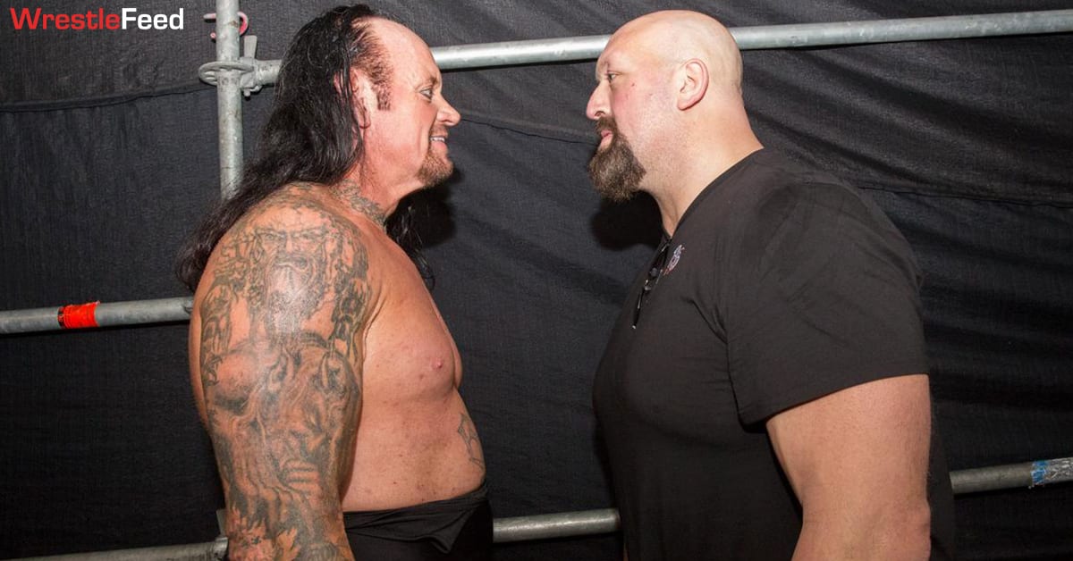 Big Show vs. Undertaker