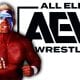 Sting AEW All Elite Wrestling Article Pic 9