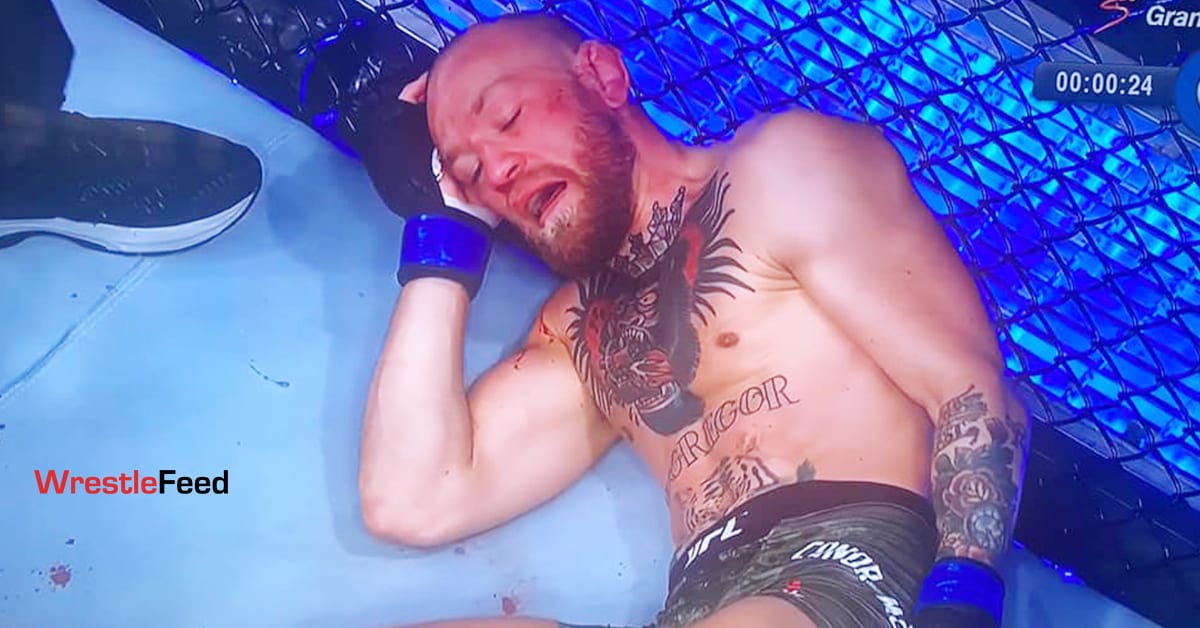 Jake Paul Takes A Major Shot At Conor McGregor | WWF Old ...