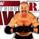 Gillberg Duane Gill RAW Article Pic