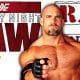 Goldberg RAW Article Pic 2